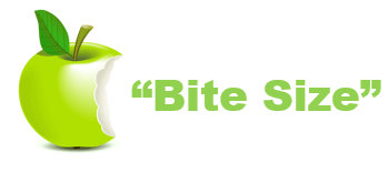 Bite Size Webinars Bite Size Webinars